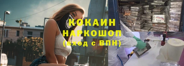 СК Каменка