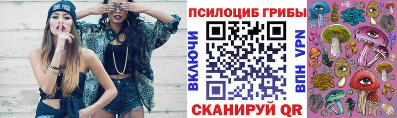 закладки Карабулак Псилоцибиновые грибы Magic Shrooms